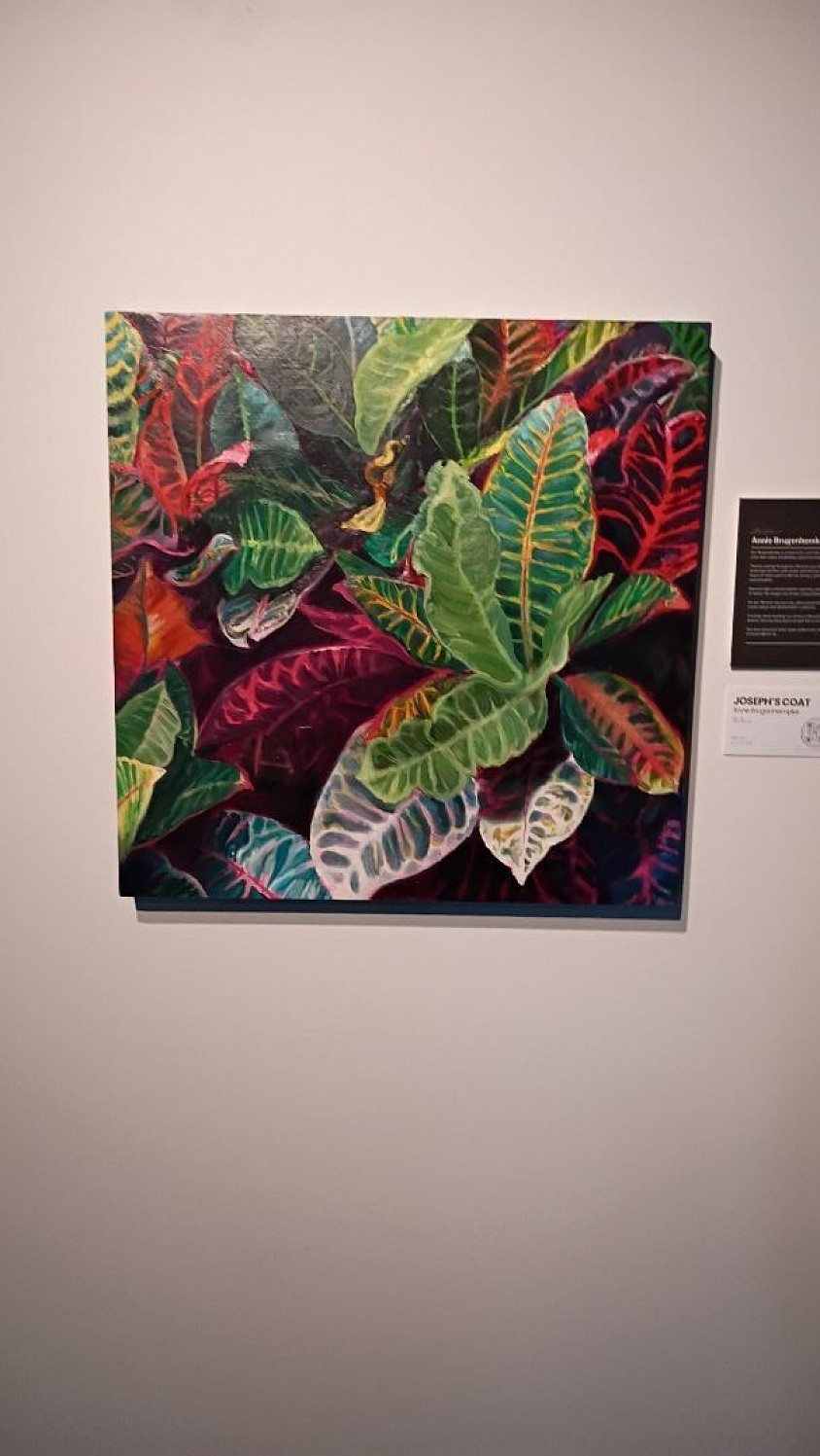Beautiful shot out to the artist